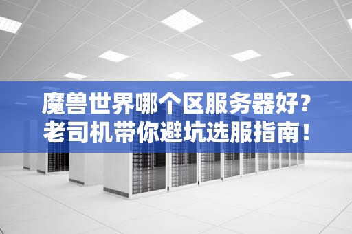 魔兽世界哪个区服务器好？老司机带你避坑选服指南！