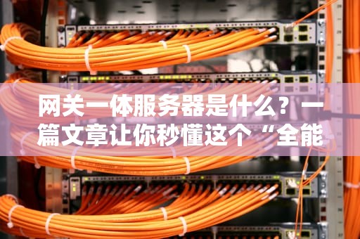 网关一体服务器是什么？一篇文章让你秒懂这个“全能管家”！