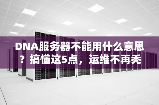 DNA服务器不能用什么意思？搞懂这5点，运维不再秃头！