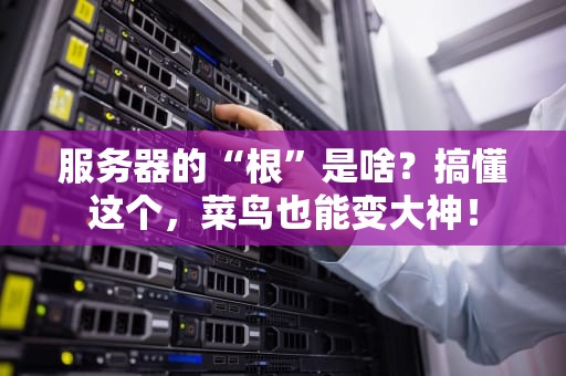 服务器的“根”是啥？搞懂这个，菜鸟也能变大神！