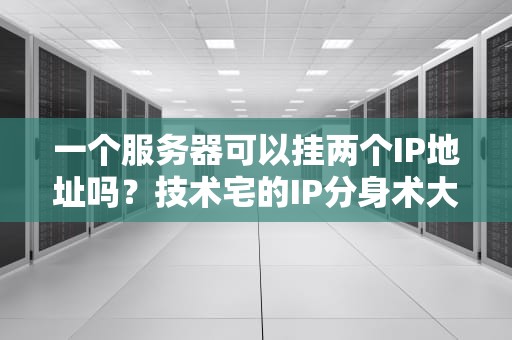 一个服务器可以挂两个IP地址吗？技术宅的IP分身术大揭秘！