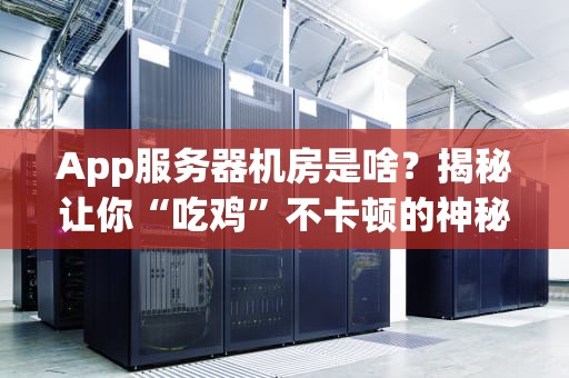 App服务器机房是啥？揭秘让你“吃鸡”不卡顿的神秘基地！