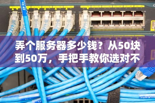 弄个服务器多少钱？从50块到50万，手把手教你选对不踩坑！