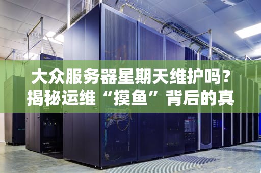 大众服务器星期天维护吗？揭秘运维“摸鱼”背后的真相！