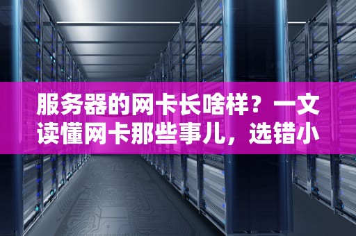 服务器的网卡长啥样？一文读懂网卡那些事儿，选错小心被老板“祭天”！