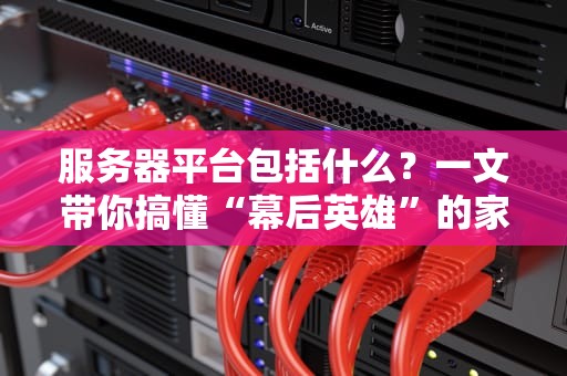 服务器平台包括什么？一文带你搞懂“幕后英雄”的家族成员！