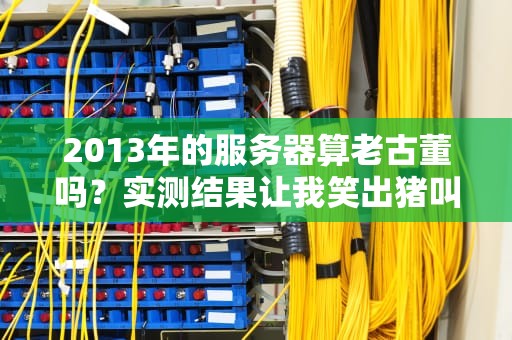 2013年的服务器算老古董吗？实测结果让我笑出猪叫！