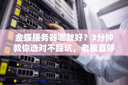金蝶服务器哪款好？3分钟教你选对不踩坑，老板直呼内行！