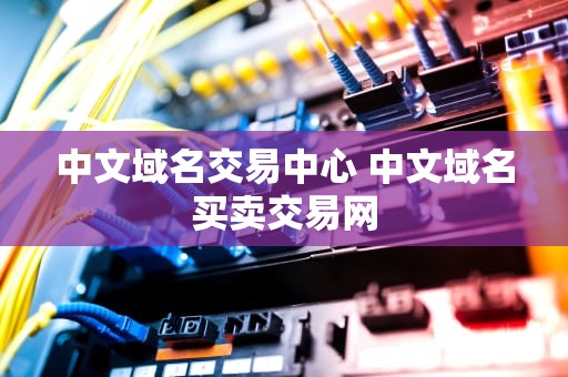 中文域名交易中心 中文域名买卖交易网
