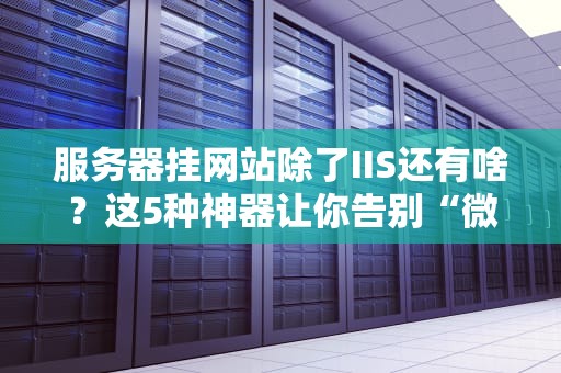 服务器挂网站除了IIS还有啥？这5种神器让你告别“微软全家桶”！