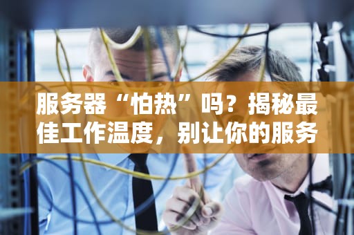 服务器“怕热”吗？揭秘最佳工作温度，别让你的服务器“中暑”！