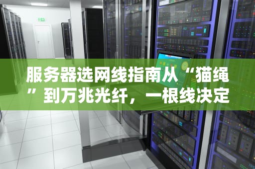 服务器选网线指南从“猫绳”到万兆光纤，一根线决定性能天花板！