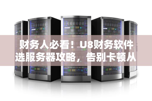 财务人必看！U8财务软件选服务器攻略，告别卡顿从芯开始