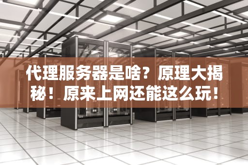 代理服务器是啥？原理大揭秘！原来上网还能这么玩！