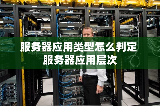 服务器应用类型怎么判定 服务器应用层次