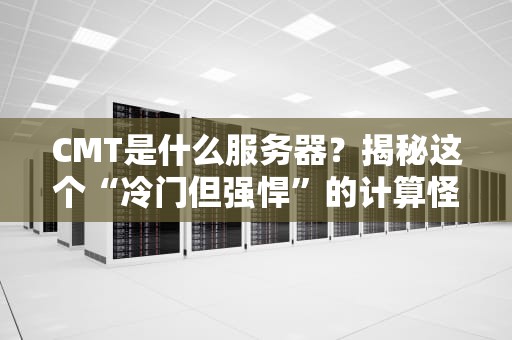 CMT是什么服务器？揭秘这个“冷门但强悍”的计算怪兽！