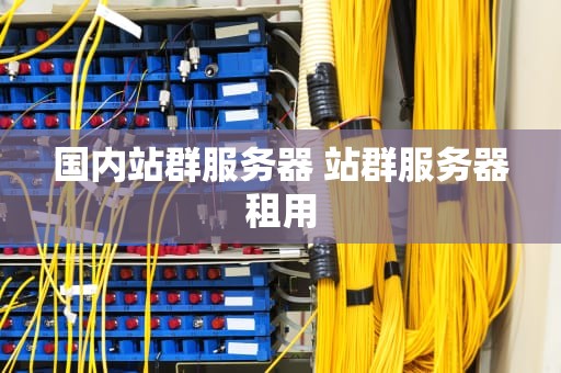 国内站群服务器 站群服务器租用
