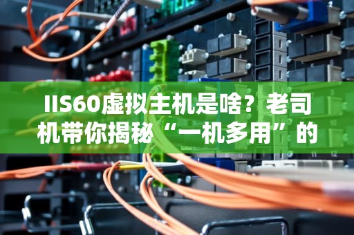 IIS60虚拟主机是啥？老司机带你揭秘“一机多用”的黑科技！