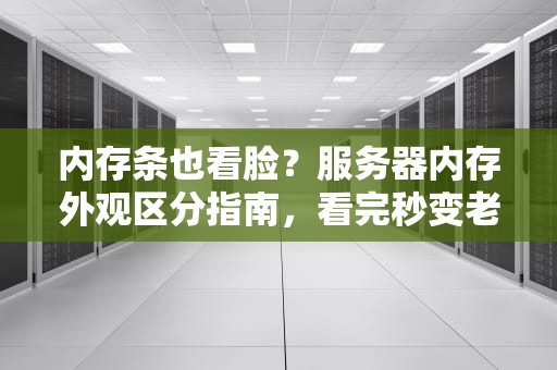 内存条也看脸？服务器内存外观区分指南，看完秒变老司机！