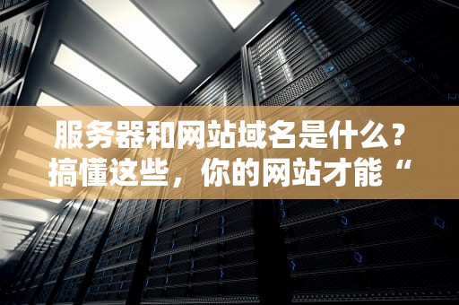 服务器和网站域名是什么？搞懂这些，你的网站才能“稳如老狗”！