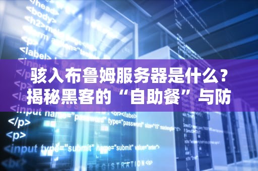 骇入布鲁姆服务器是什么？揭秘黑客的“自助餐”与防御秘籍
