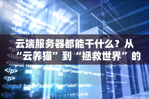 云端服务器都能干什么？从“云养猫”到“拯救世界”的全能选手