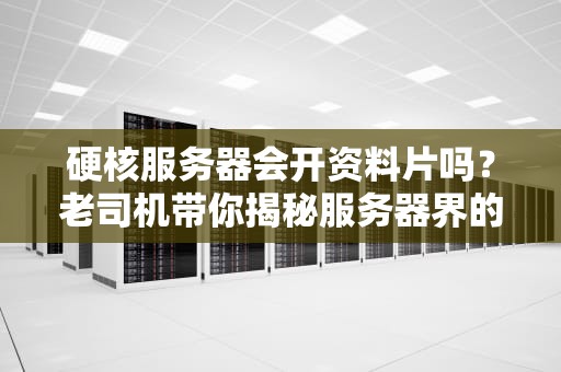 硬核服务器会开资料片吗？老司机带你揭秘服务器界的版本更新内幕！