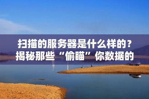 扫描的服务器是什么样的？揭秘那些“偷瞄”你数据的幕后黑手！