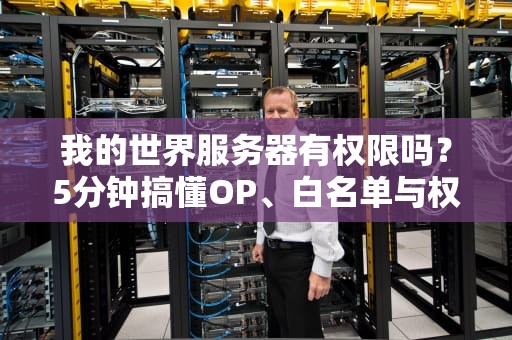 我的世界服务器有权限吗？5分钟搞懂OP、白名单与权限组！