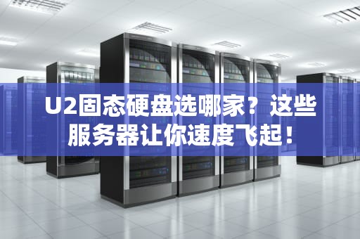 U2固态硬盘选哪家？这些服务器让你速度飞起！