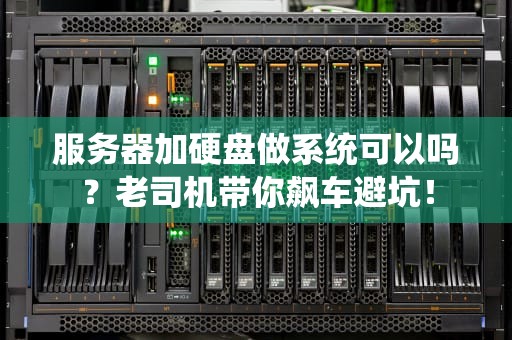 服务器加硬盘做系统可以吗？老司机带你飙车避坑！