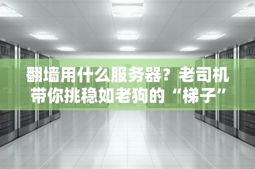 翻墙用什么服务器？老司机带你挑稳如老狗的“梯子”服务器！