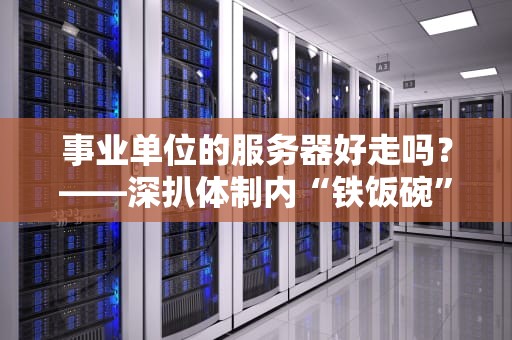 事业单位的服务器好走吗？——深扒体制内“铁饭碗”的硬件真相！