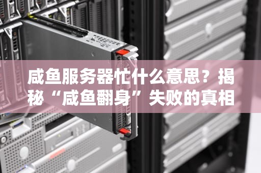 咸鱼服务器忙什么意思？揭秘“咸鱼翻身”失败的真相！