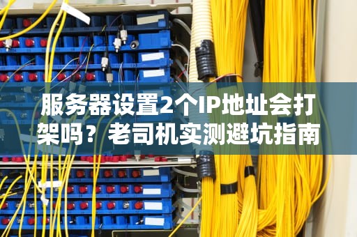 服务器设置2个IP地址会打架吗？老司机实测避坑指南！
