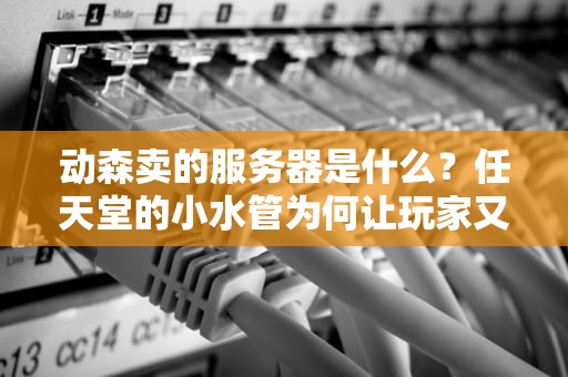 动森卖的服务器是什么？任天堂的小水管为何让玩家又爱又恨？