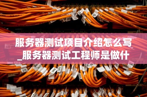 服务器测试项目介绍怎么写_服务器测试工程师是做什么的_服务器测试项目介绍