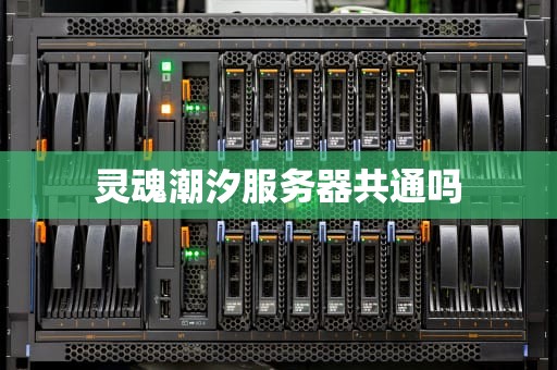 灵魂潮汐服务器共通吗