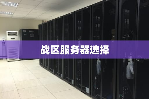 战区服务器选择