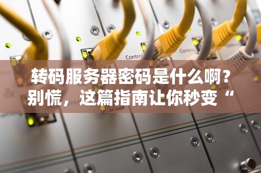 转码服务器密码是什么啊？别慌，这篇指南让你秒变“解码大师”！