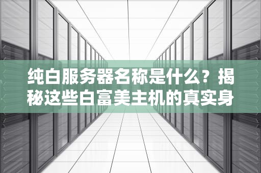 纯白服务器名称是什么？揭秘这些白富美主机的真实身份！