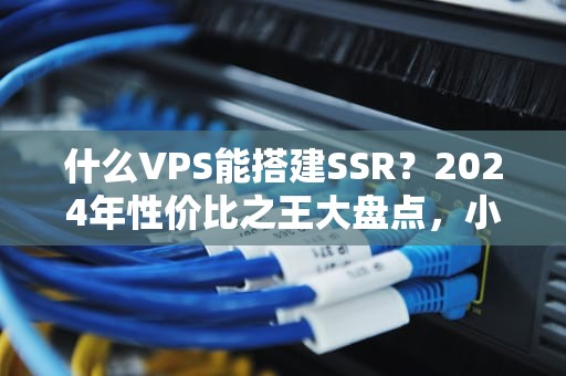 什么VPS能搭建SSR？2024年性价比之王大盘点，小白也能秒懂！