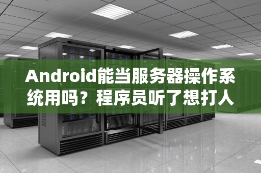 Android能当服务器操作系统用吗？程序员听了想打人！