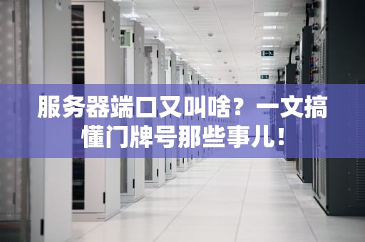 服务器端口又叫啥？一文搞懂门牌号那些事儿！