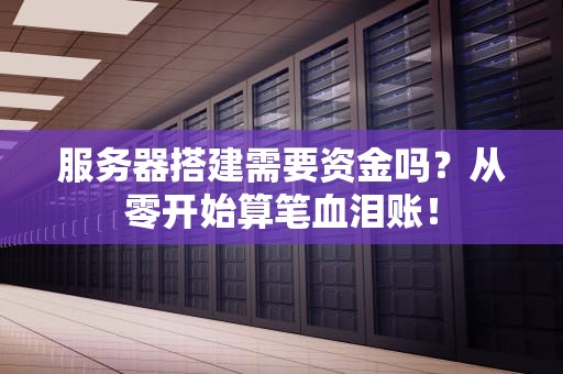 服务器搭建需要资金吗？从零开始算笔血泪账！