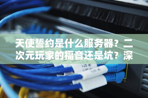 天使誓约是什么服务器？二次元玩家的福音还是坑？深度测评+避坑指南