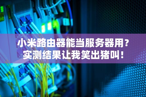 小米路由器能当服务器用？实测结果让我笑出猪叫！