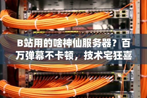B站用的啥神仙服务器？百万弹幕不卡顿，技术宅狂喜！
