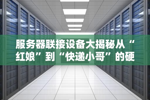 服务器联接设备大揭秘从“红娘”到“快递小哥”的硬核科普