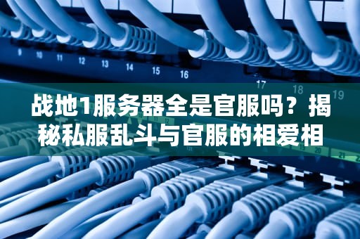 战地1服务器全是官服吗？揭秘私服乱斗与官服的相爱相杀！